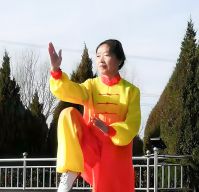 ʮȽ֮ܳӢ2024̫ʢȱ