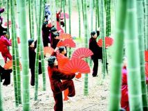 ̫ȭЭϸɲǱɽɭֹ԰