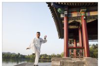 ʢйе׽̫ȭӢչݴ ӰƷϵ