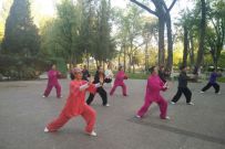 2017½ά̫ȭ ߻Ǹɽ׽̫ȭ