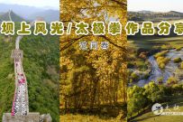 ʢйе׽̫ȭӢչݴ ͬӰƷϵ