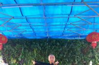 ̫ȭռ ̫ԭгʽ̫ȭݹݳ