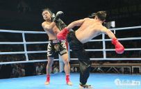 ʷ״γ̫ȭPK̩ȭȡʤ